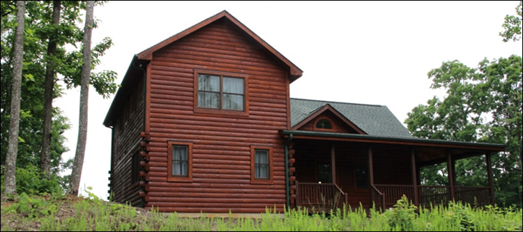 Professional Log Home Borate Application  Wayne County,  North Carolina
